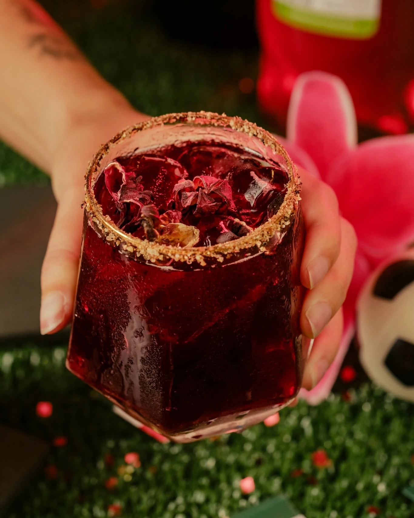 Publicação 3 da DaVinci Gourmet no Instagram